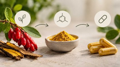 Verschil in berberine supplementen