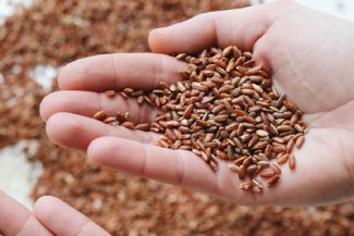 Waar zitten veel vezels in?