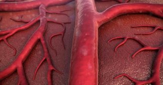 Bloeddruk supplementen