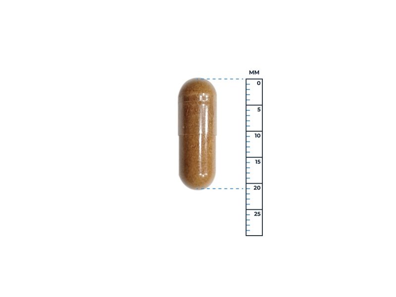 Capsule grootte