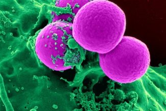 Probiotica tijdens antibioticagebruik