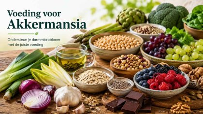 Voeding voor de akkermansia bacterie