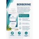 infographic berberine