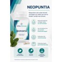 infographic Neopuntia