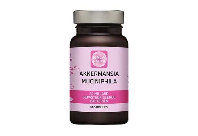 Akkermansia Munciniphila