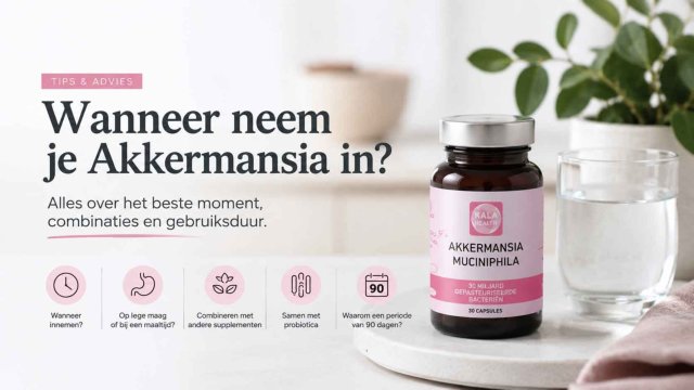 Wanneer akkermansia innemen
