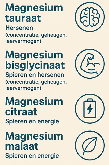 infograpic over verschillende magnesiumvormen