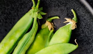 Wereld Peulvruchten Dag